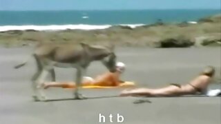 खेलौना